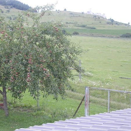 Hotel Penzion Dreveník Spišské Podhradie Esterno foto
