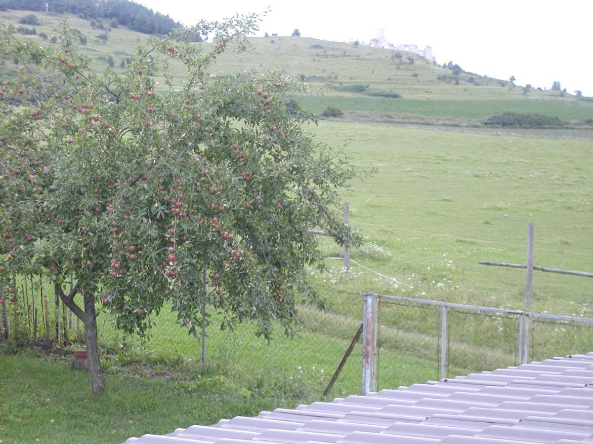 Hotel Penzion Dreveník Spišské Podhradie Esterno foto