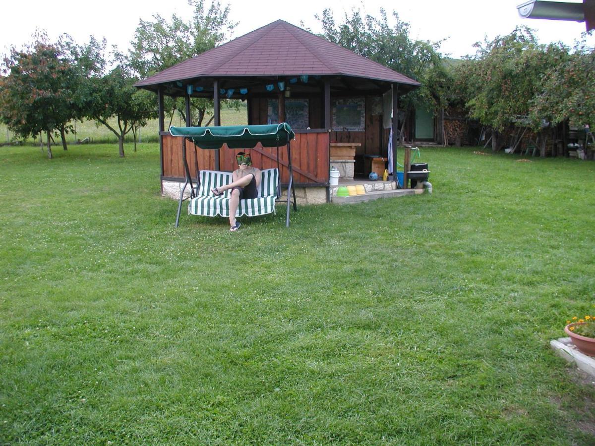 Hotel Penzion Dreveník Spišské Podhradie Esterno foto