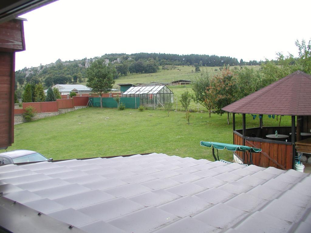 Hotel Penzion Dreveník Spišské Podhradie Esterno foto