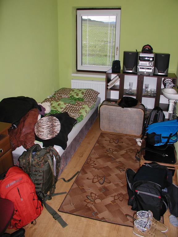 Hotel Penzion Dreveník Spišské Podhradie Esterno foto